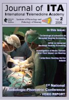 JITA Vol. 1 No. 2(2) - click to view the issue (PDF file) JITA Vol. 1 No. 2(2)
